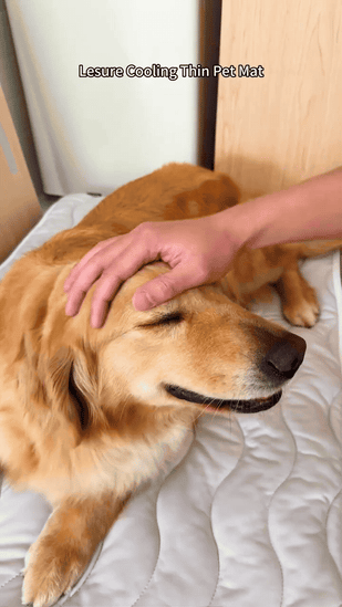 It recharges itself between naps