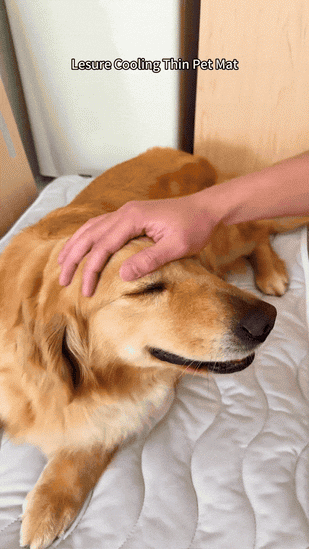 It recharges itself between naps