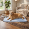 TryNoble™ | Dog Cooling Mat