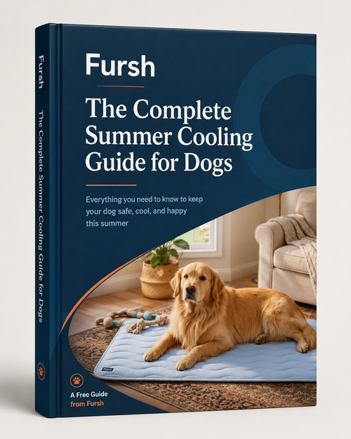 The Complete Summer Cooling Guide for Dogs